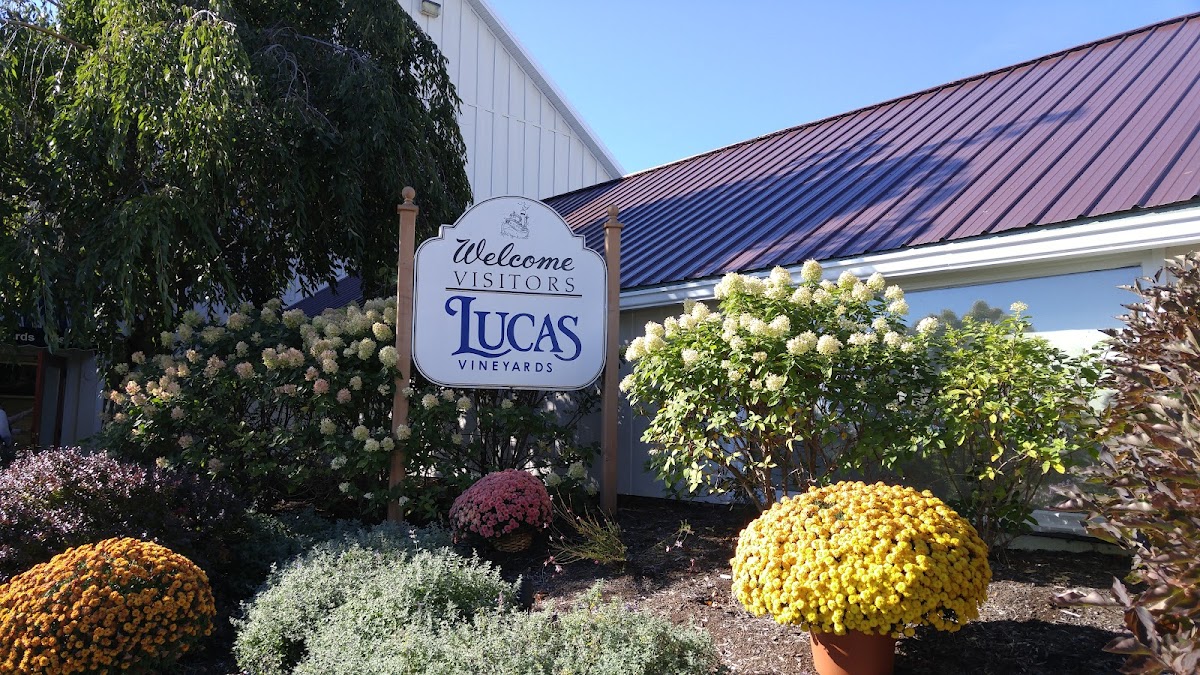 LUCAS VINEYARDS