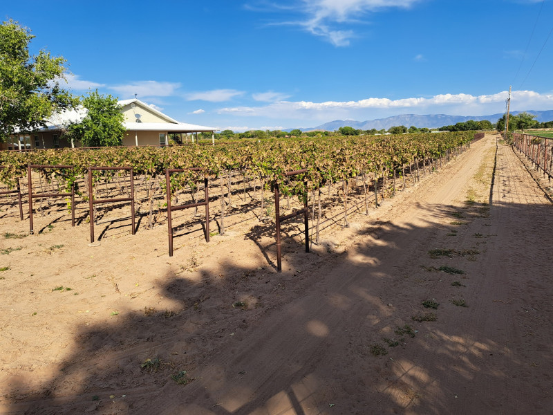 Luz del Cielo Vineyard LLC