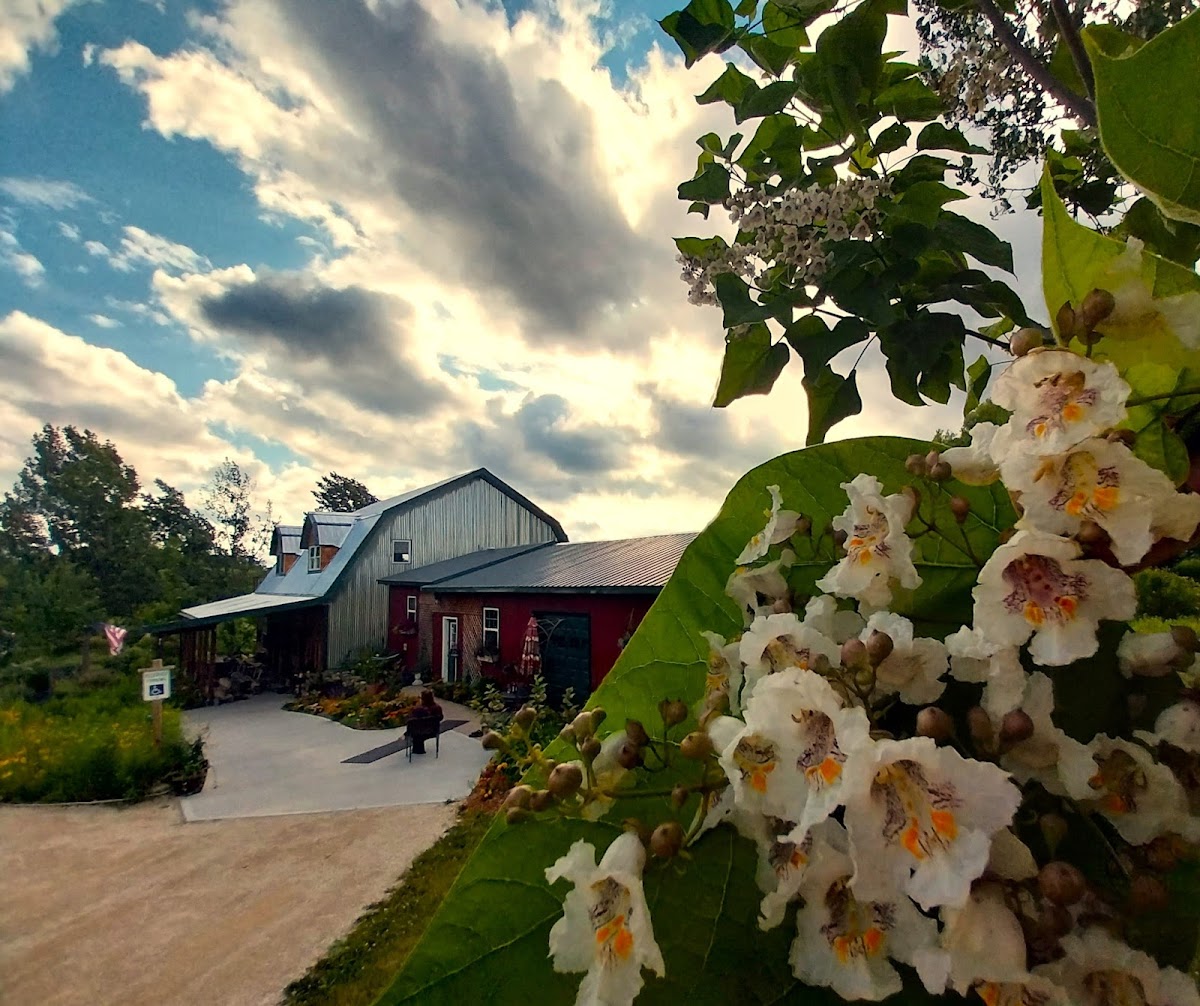 Madigan Winery, LLC