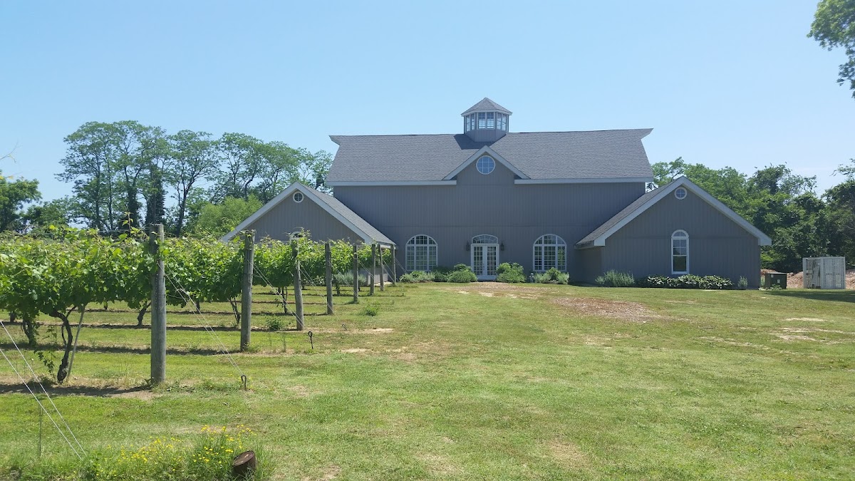 Mark Cascia Vineyards