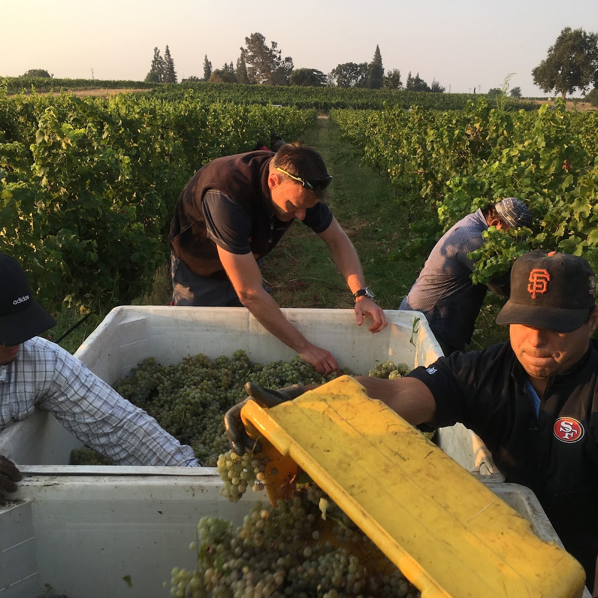 Markus Wine Co.
