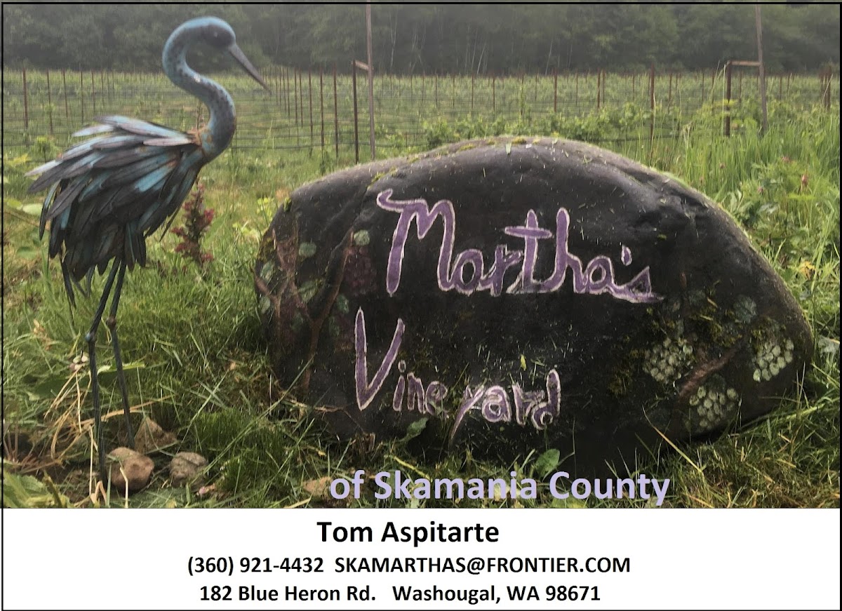 Martha's Vineyard of Skamania County