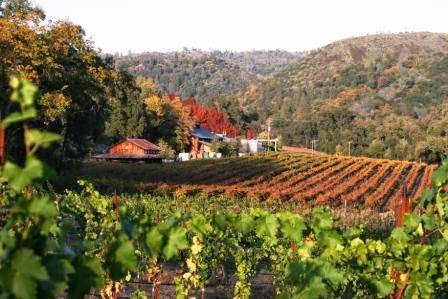 Matthew Rorick Wines