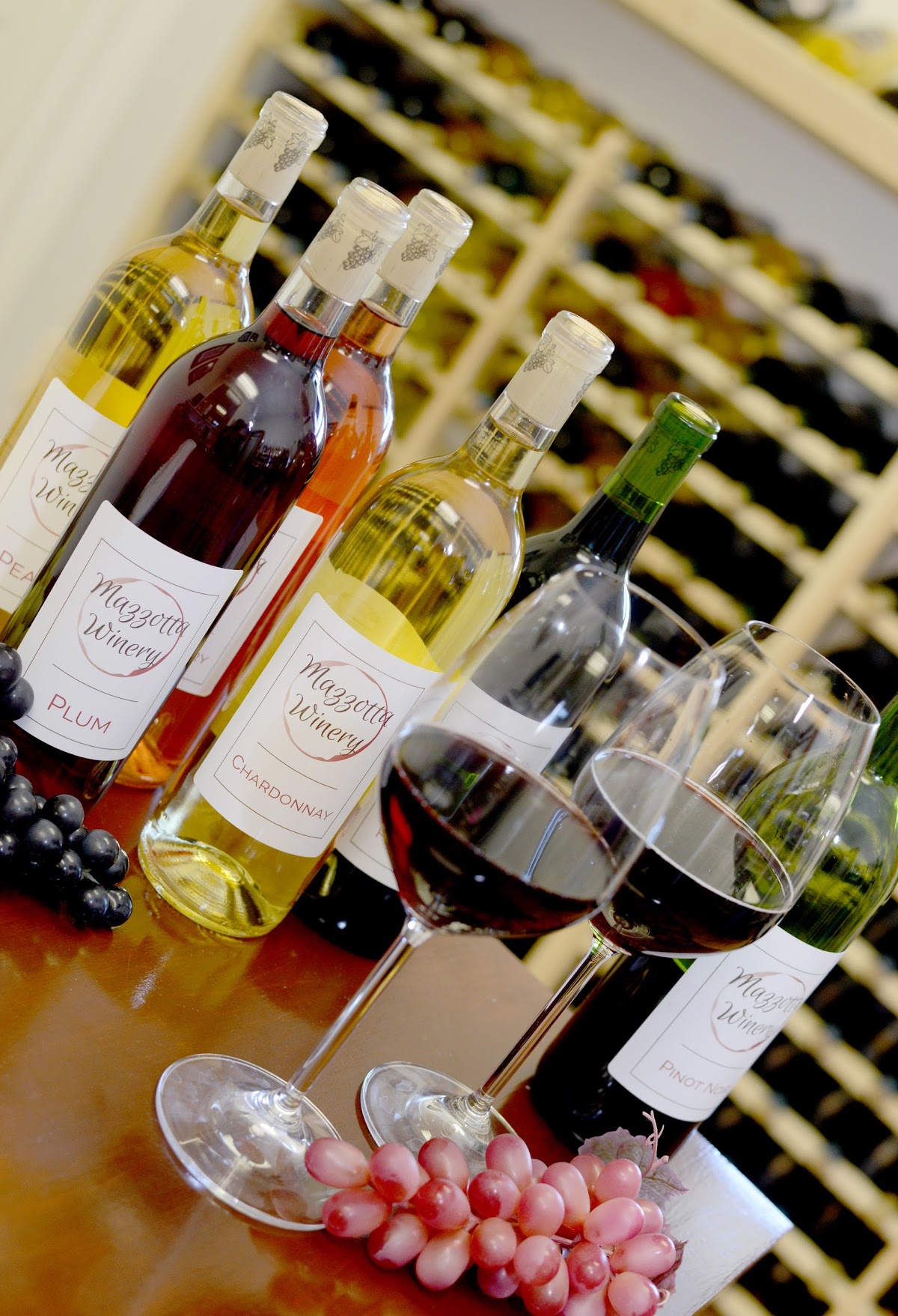 Mazzotta Winery
