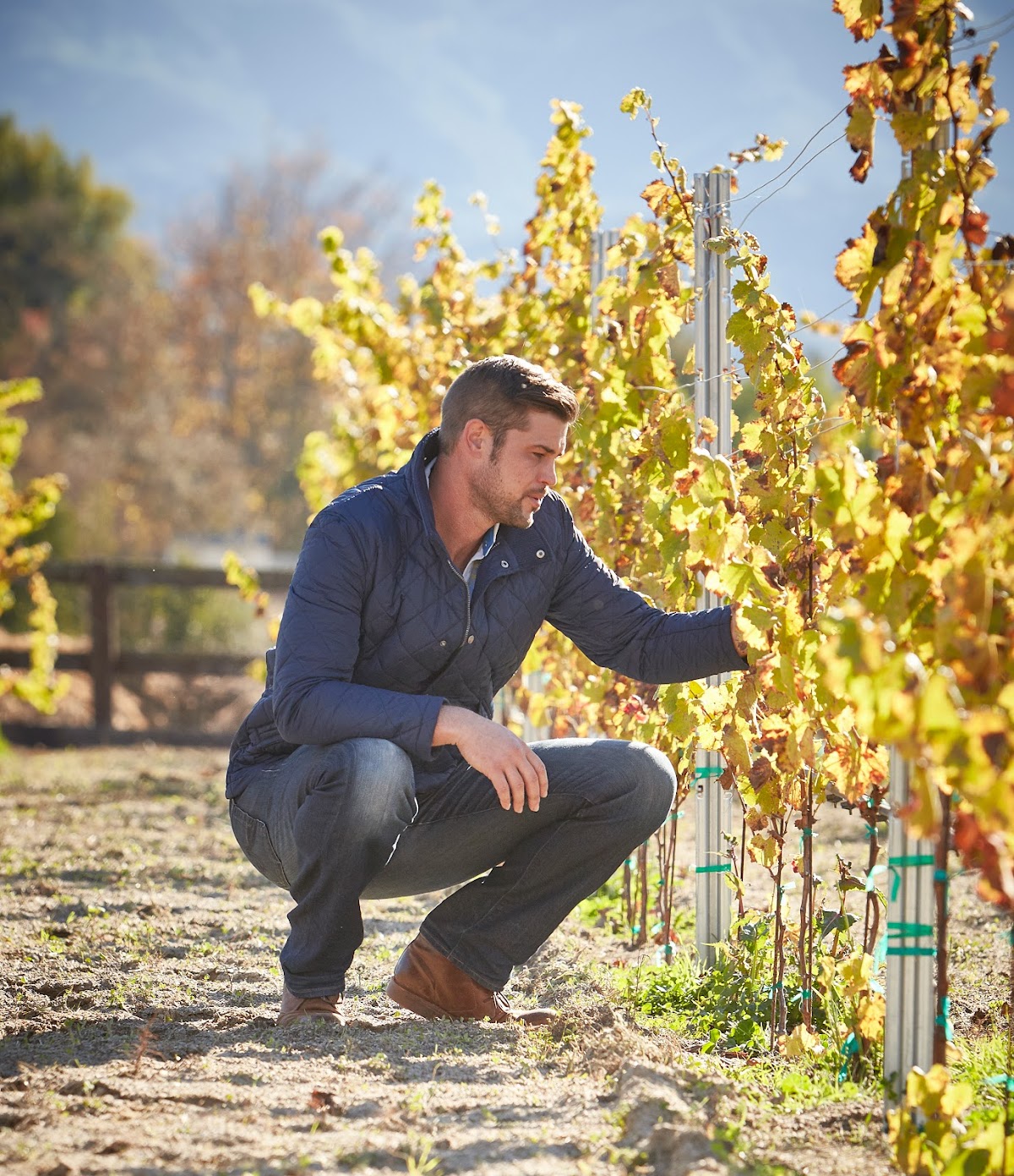 McKinney Family Vineyards