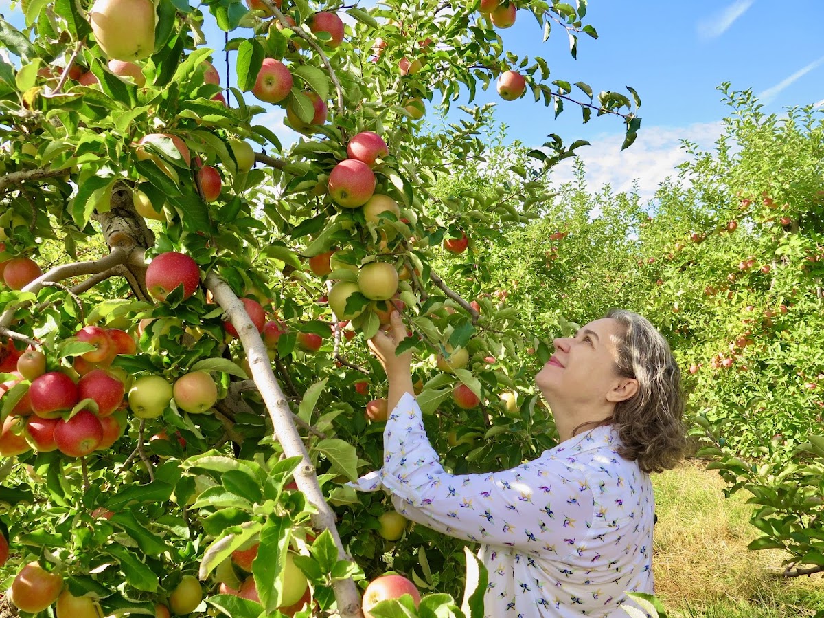 Melick's Town Farm, Inc.