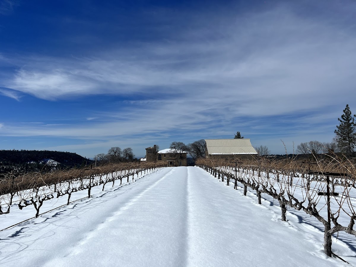 MFV Winery