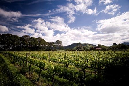 Millton Vineyards & Winery