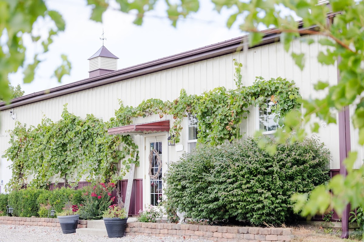 Mirabelle Farm and Vineyard