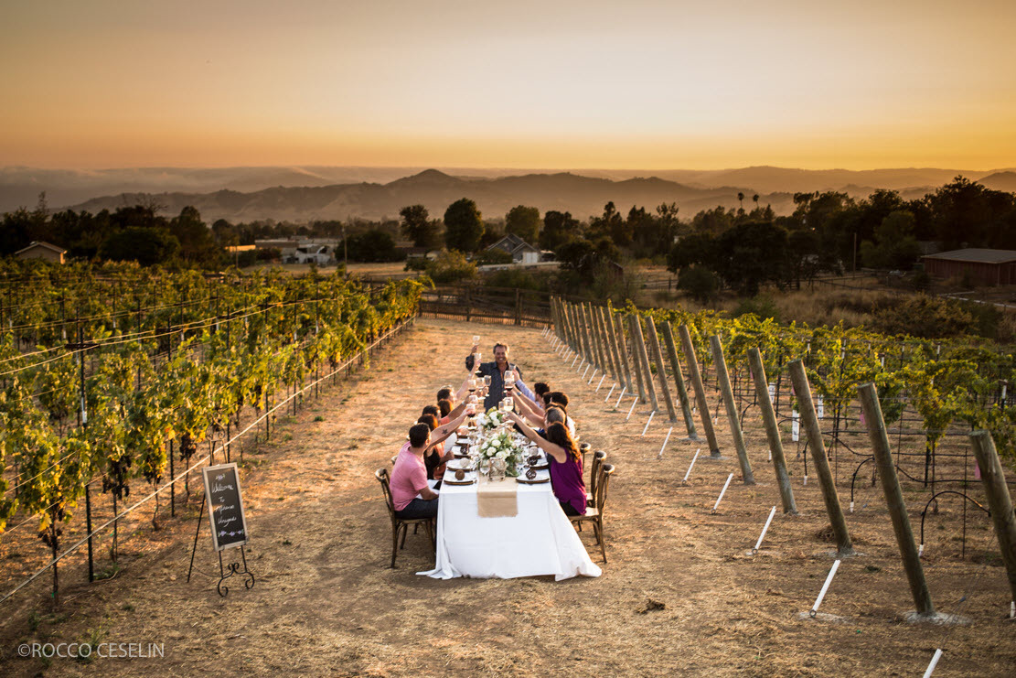 Miramar Vineyards