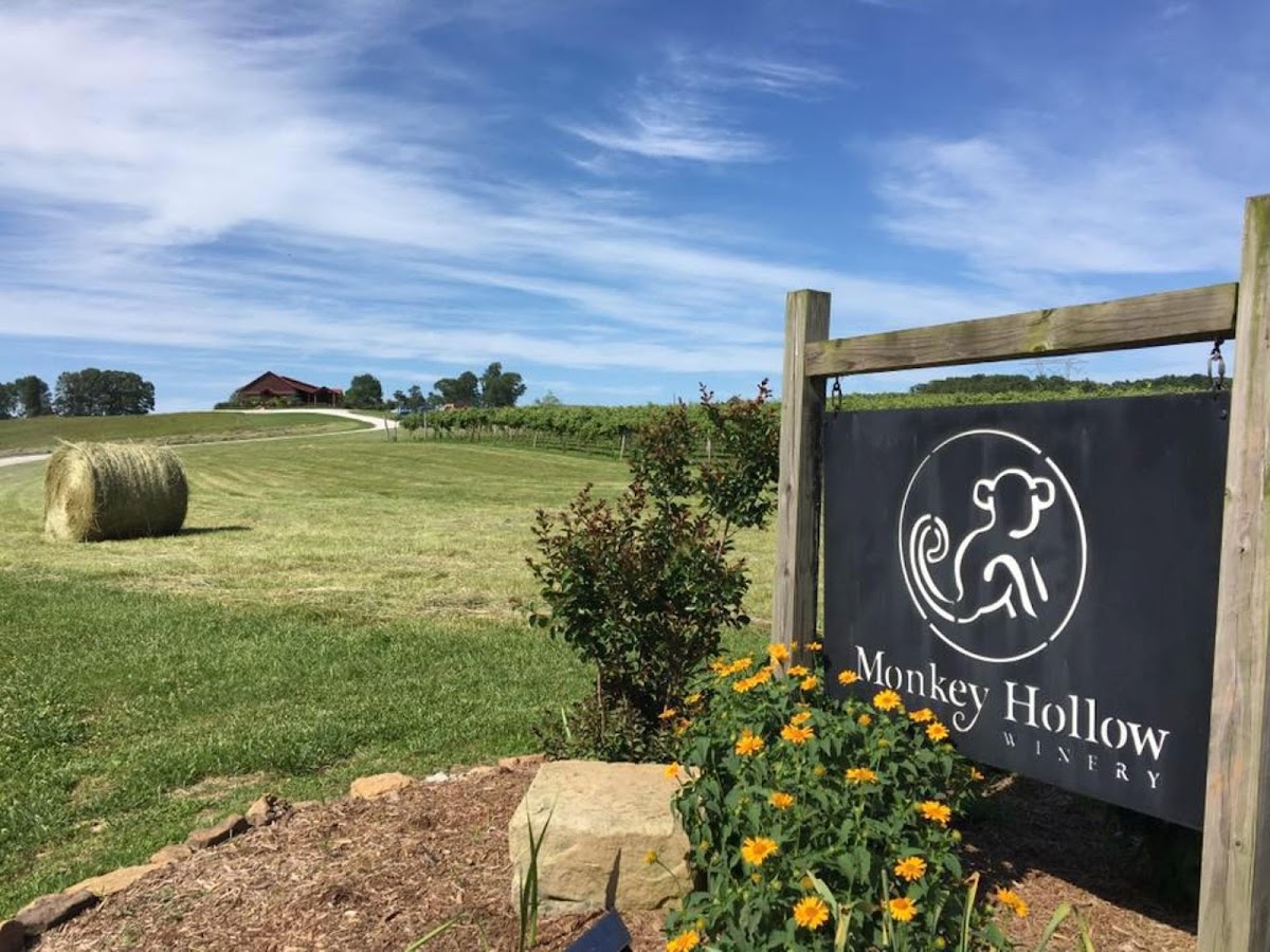 Monkey Hollow Winery