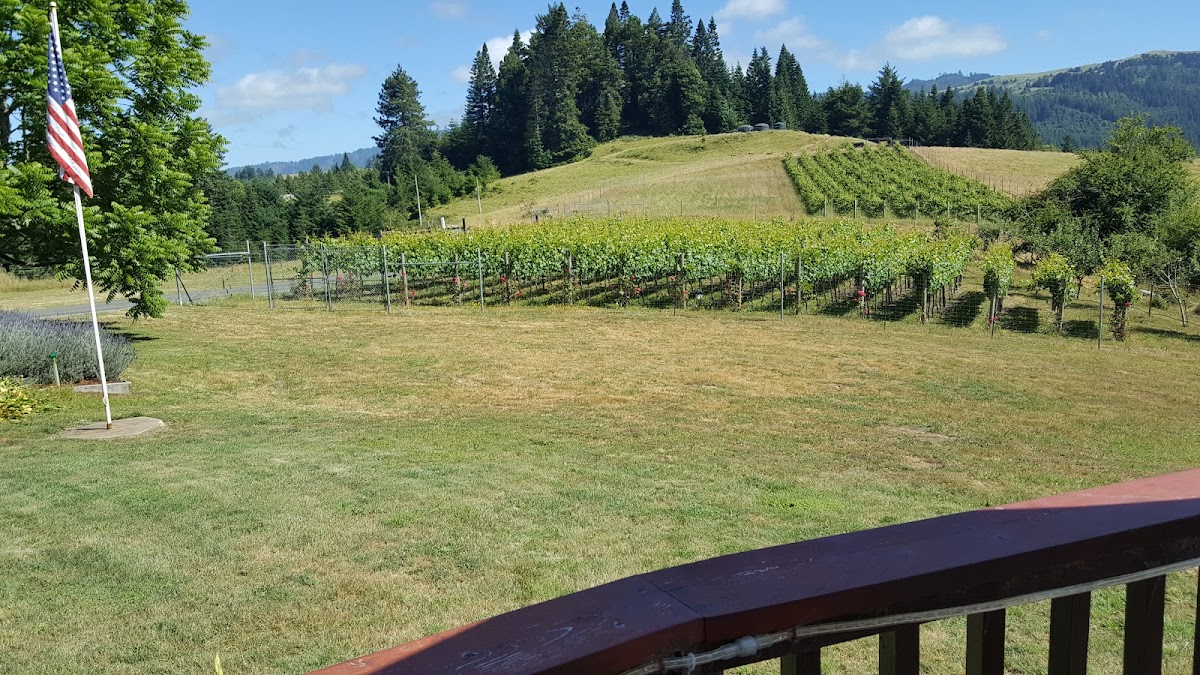 Monument Mountain Vineyards