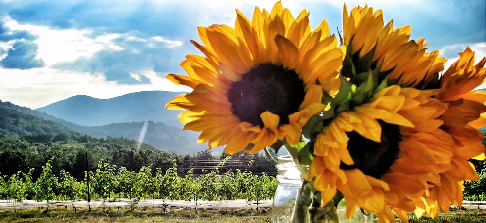 Moss Vineyards