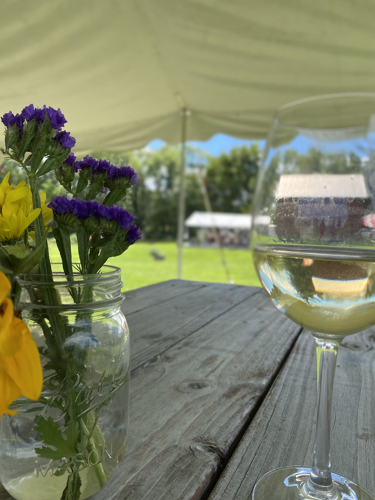 Mount Salem Vineyards