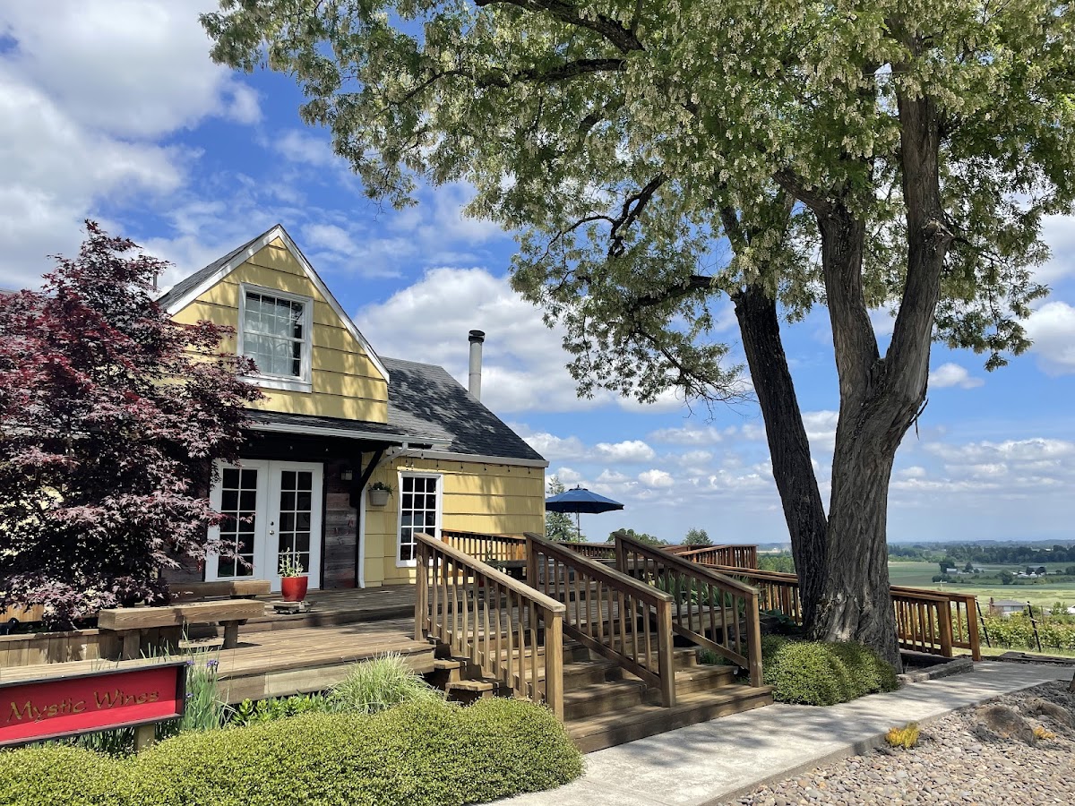 MYSTIC WINES
