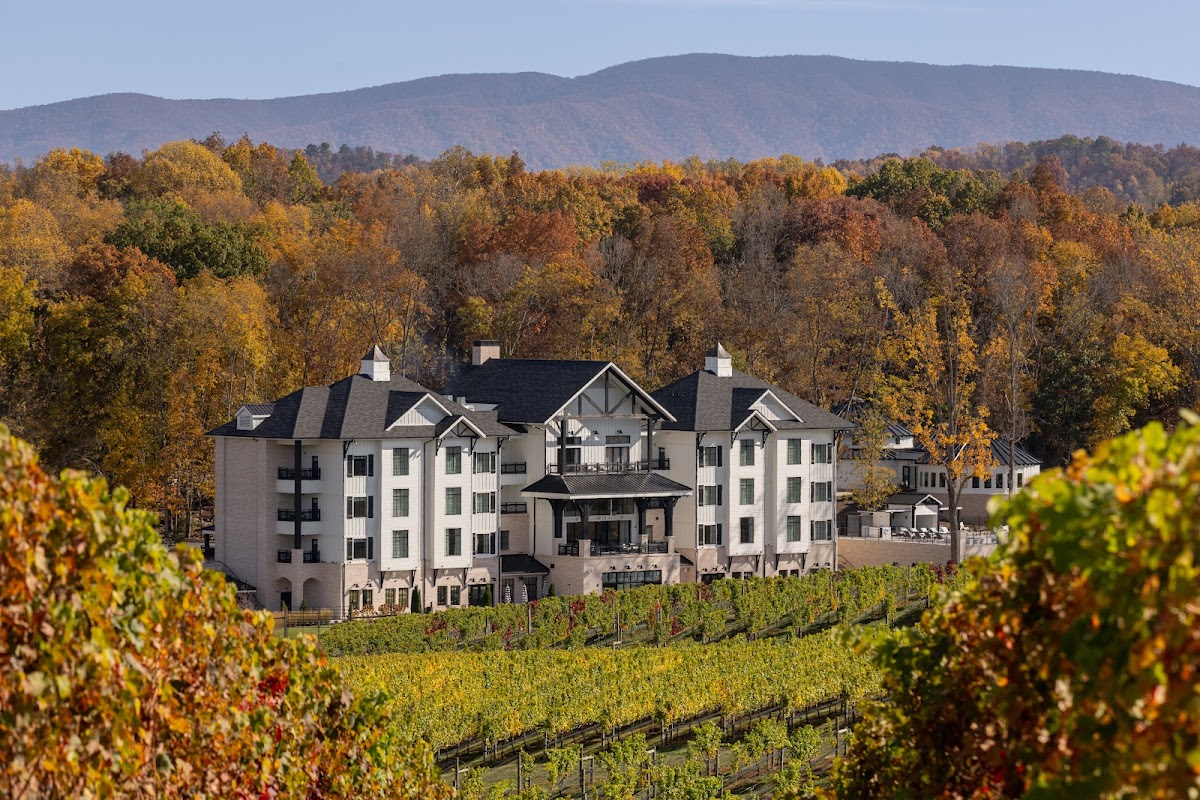 Nicewonder Farm & Vineyards
