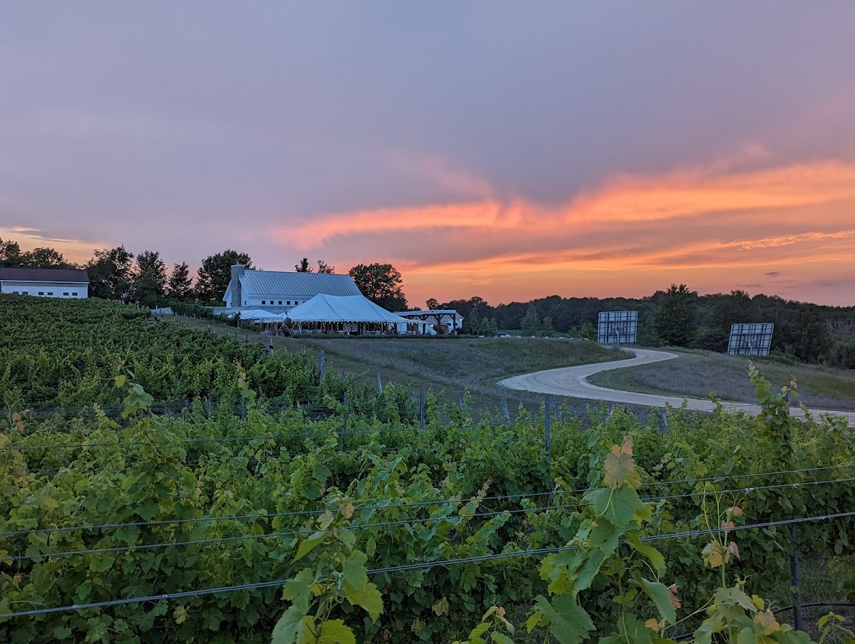 Northern Michigan Wine
