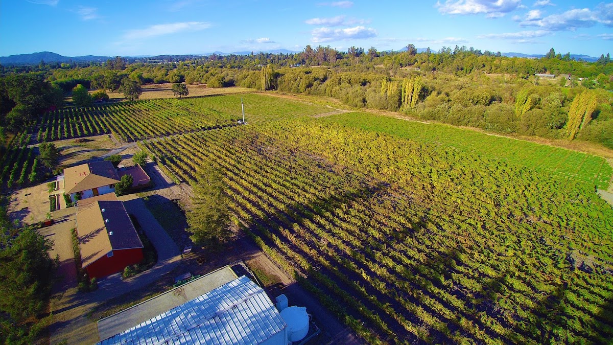 Occidental Road Cellars