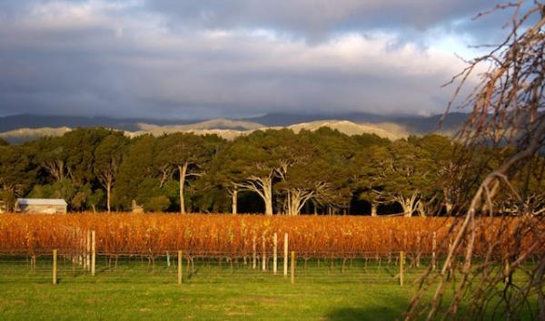 Ohau Wines
