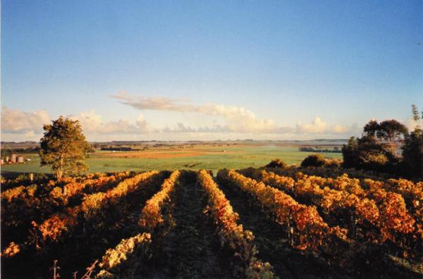 Okahu Estate