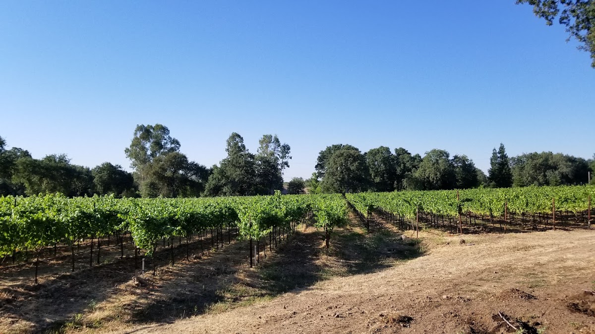 Old 44 Cellars