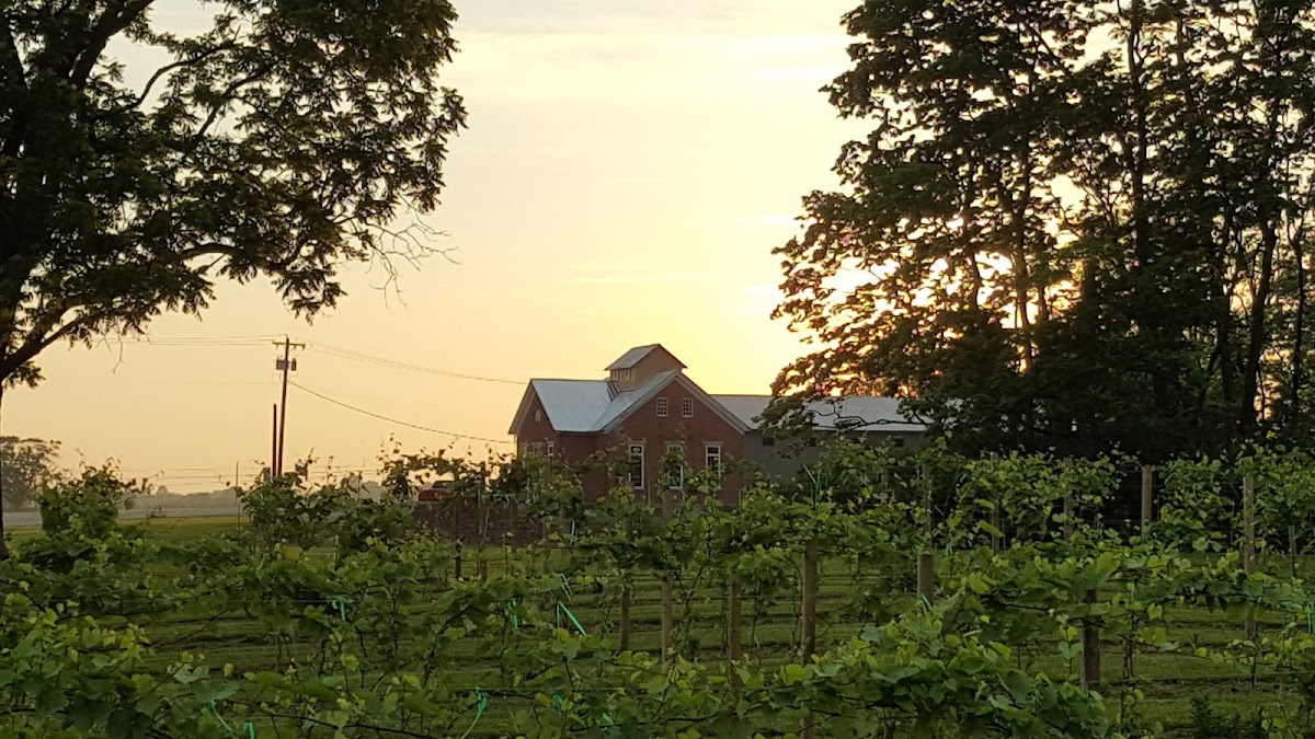 OLDE SCHOOLHOUSE VINEYARD & WINERY, LLC