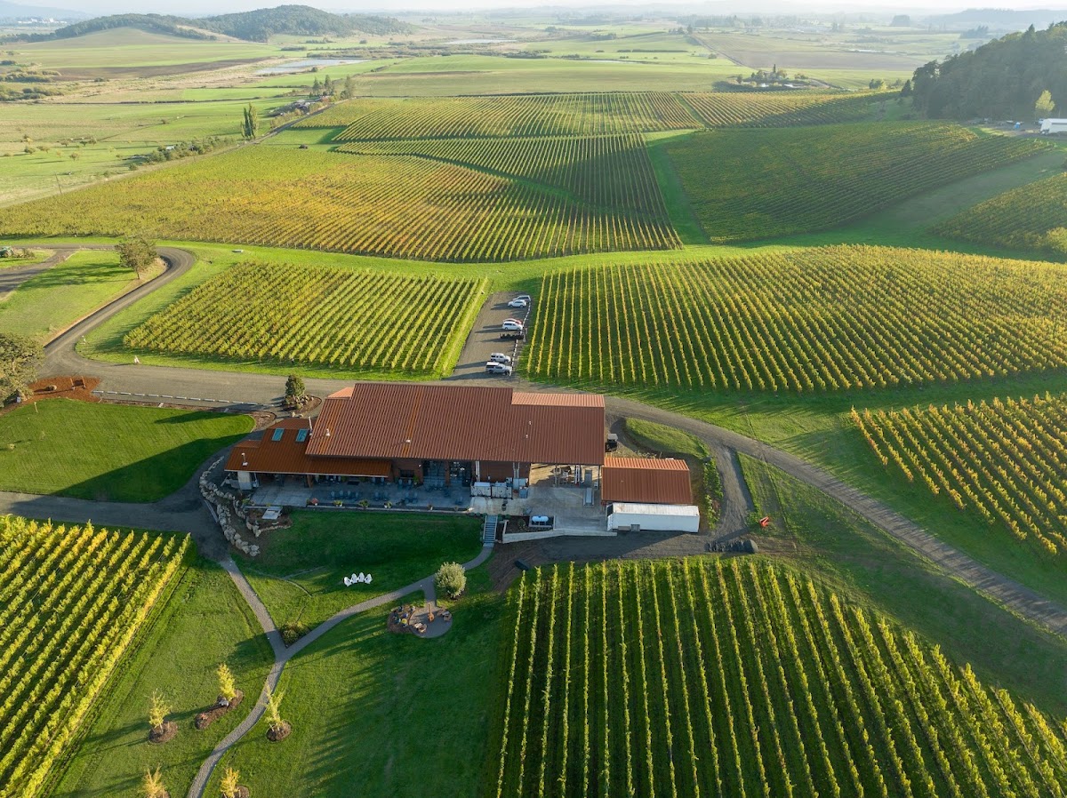Open Claim Vineyards