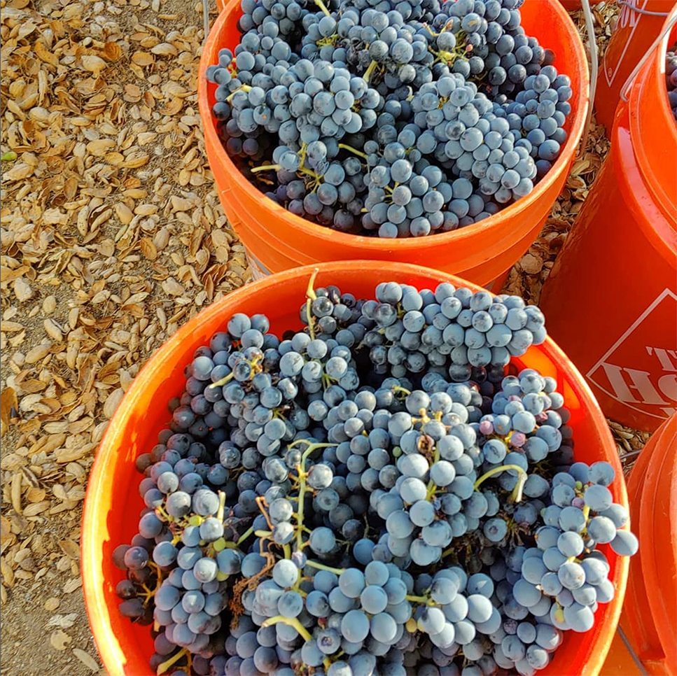 ORANGE WOODS WINERY