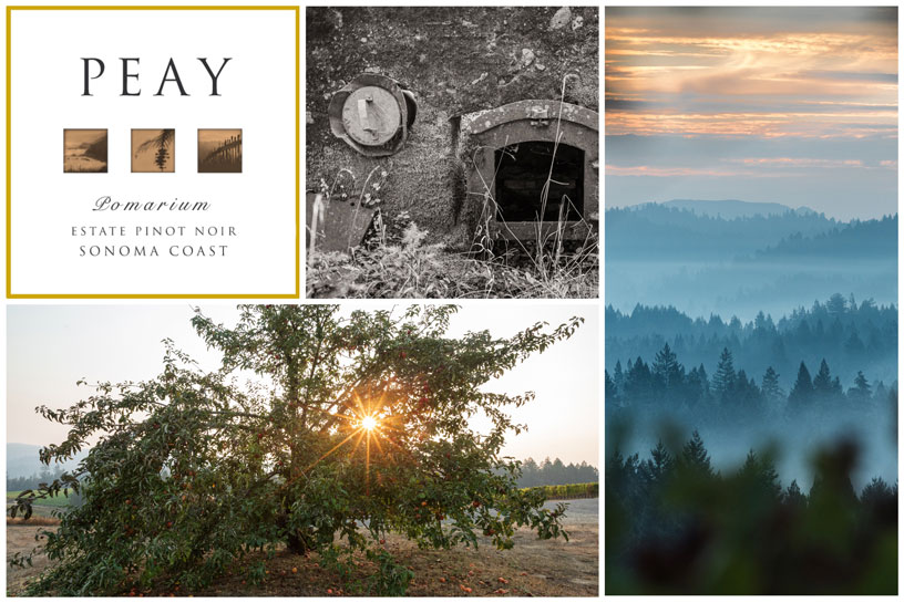 Pomarium Estate Pinot Noir, West Sonoma Coast