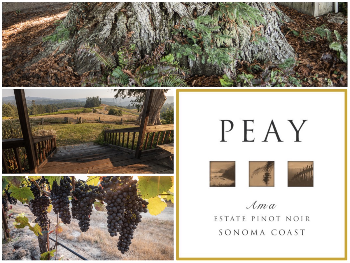 Ama Estate Pinot Noir, West Sonoma Coast
