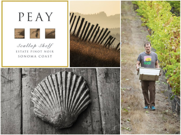 Scallop Shelf Estate Pinot Noir, West Sonoma Coast