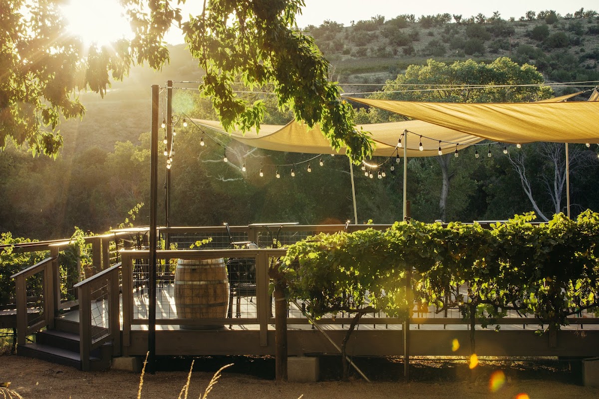 PAGE SPRINGS CELLARS