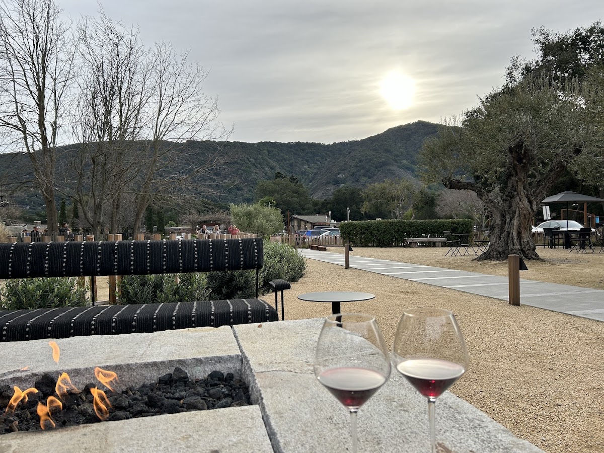 Pelio Vineyards