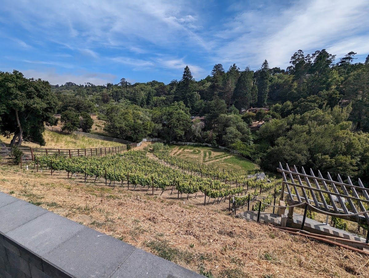 Perfusion Vineyard