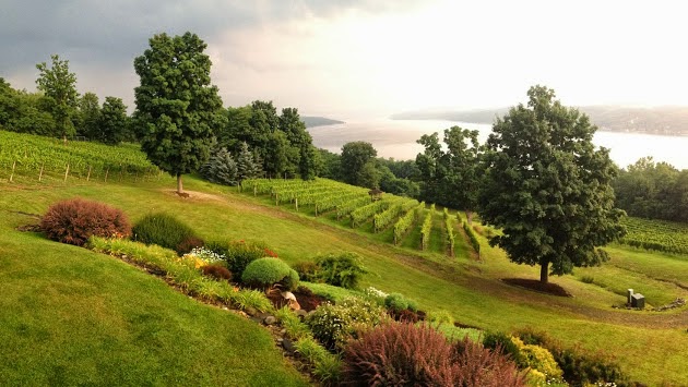 Point of the Bluff Vineyard, LLC