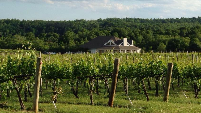 Pollak Vineyards, LLC