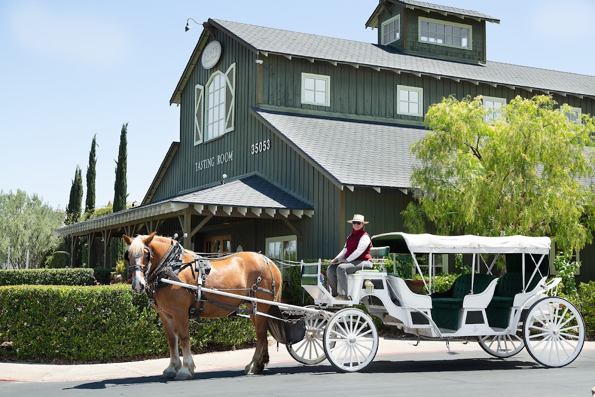 Ponte Winery