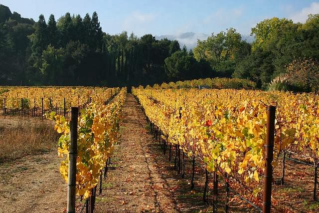 Portola Vineyards LLC