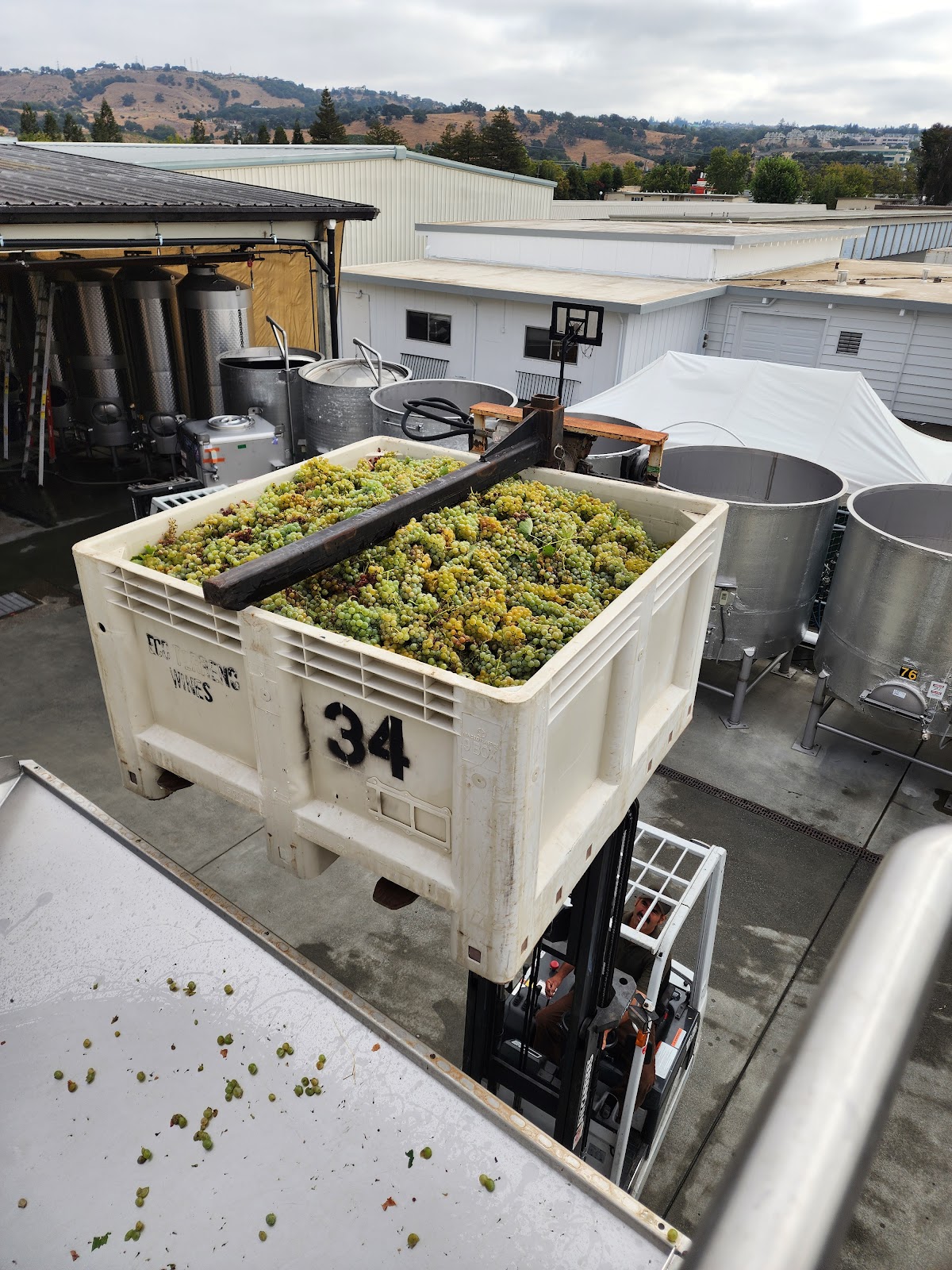 Punchdown Cellars