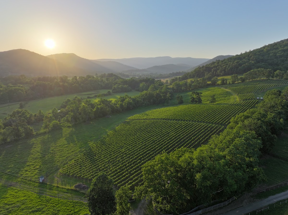 Quievremont Wine