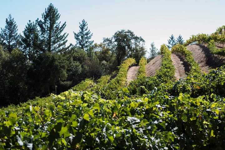 Mount Veeder Winery