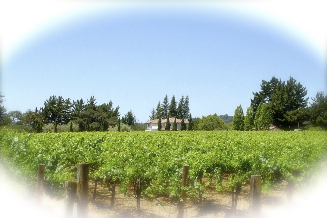 Raffaelli Vineyards
