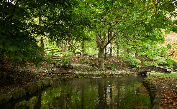 Rapaura Springs