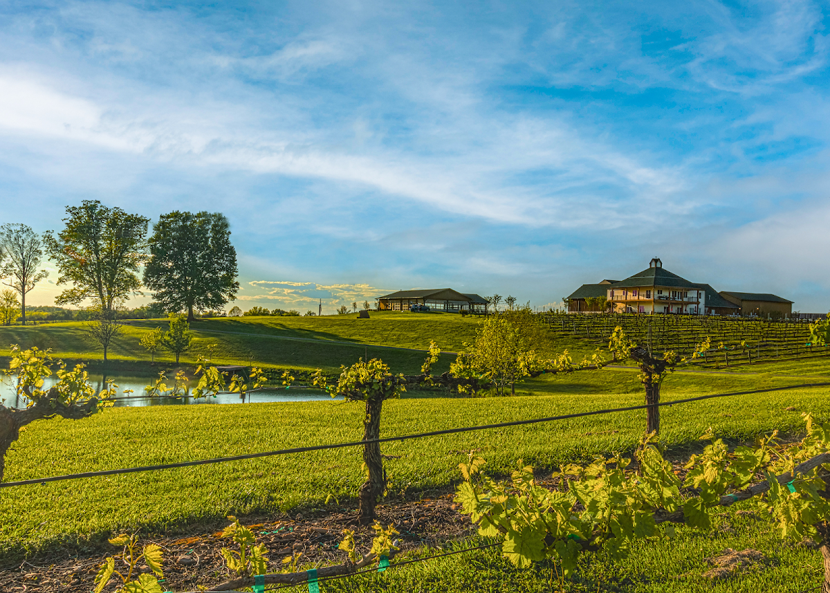 Rayson Winery & Vineyards