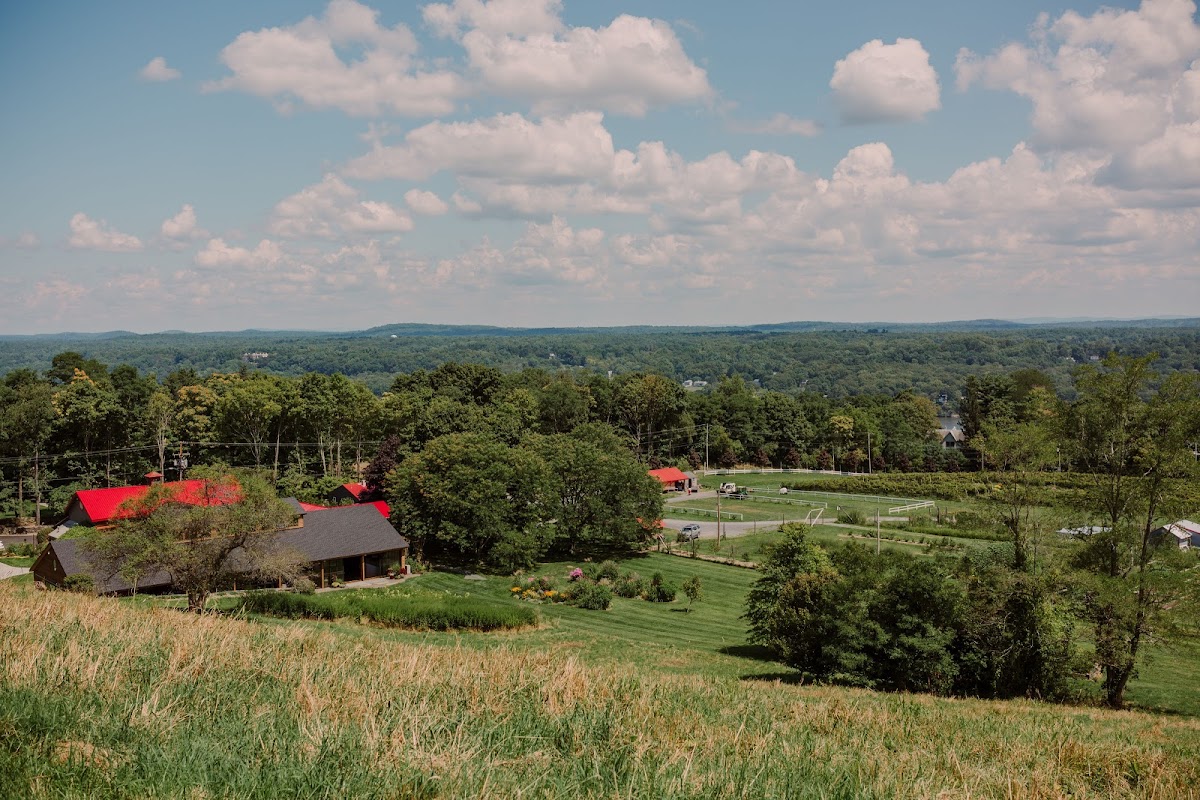 Red Maple Vineyard