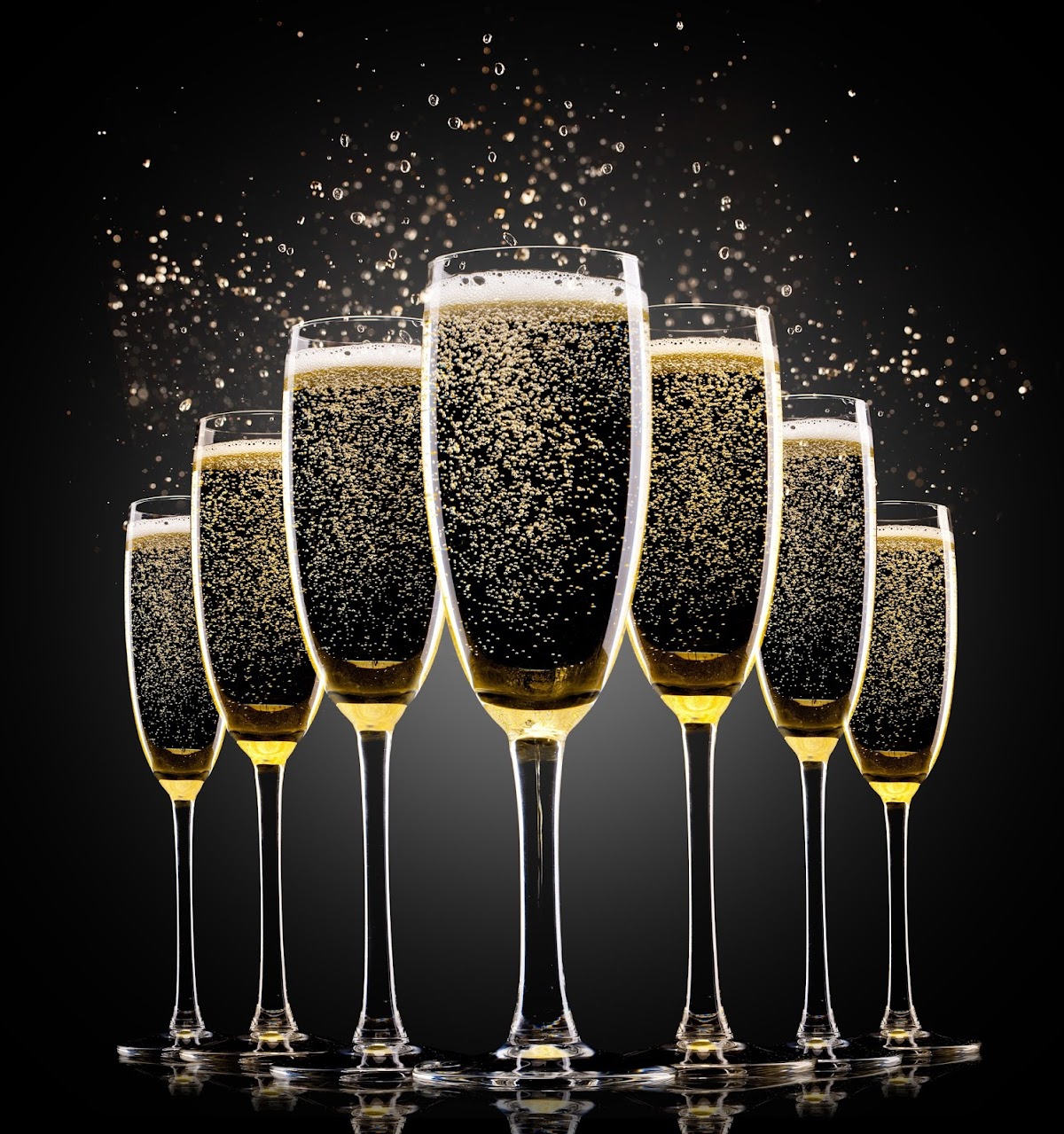 Riddle Wines
