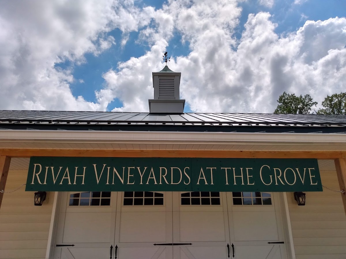 RIVAH VINEYARDS AT THE GROVE, LLC