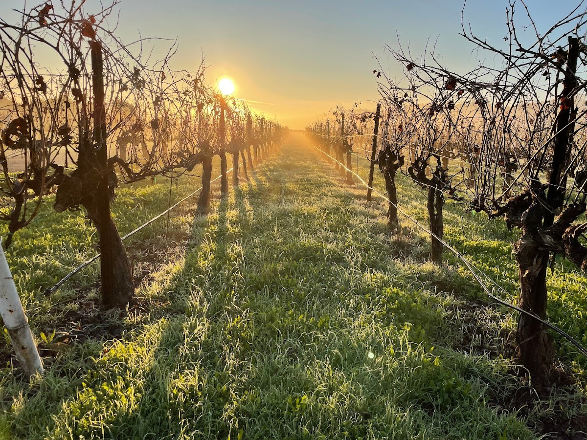 Rosalynd Winery