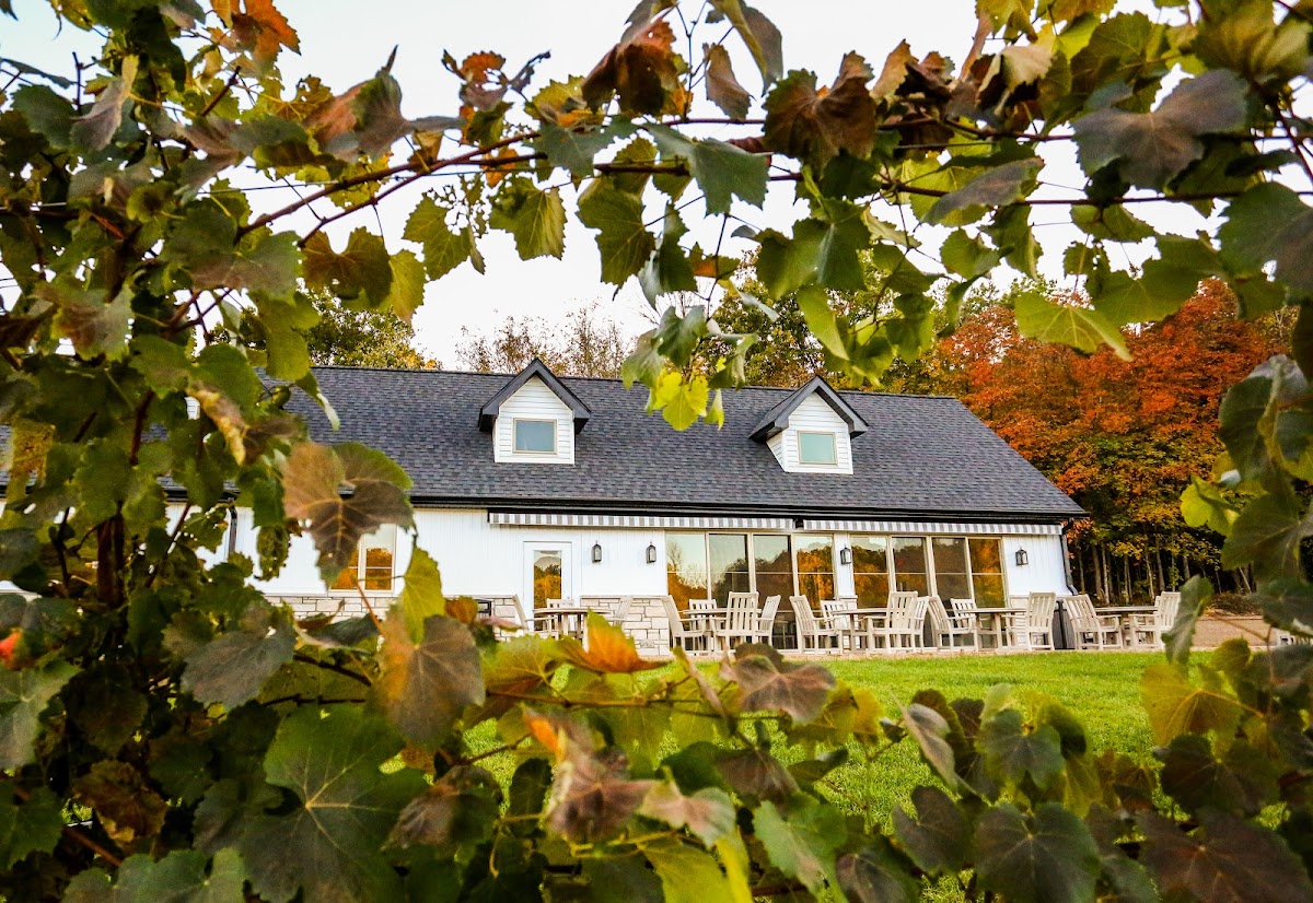 Sainte Genevieve Winery