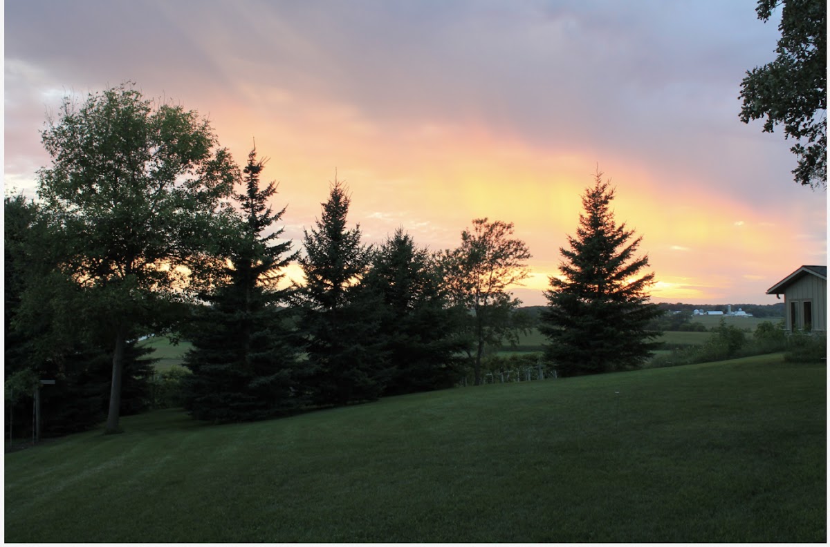 Salem Glen Vineyard and Winery